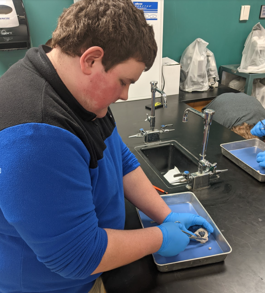 Students gaining experience using tools common in life sciences